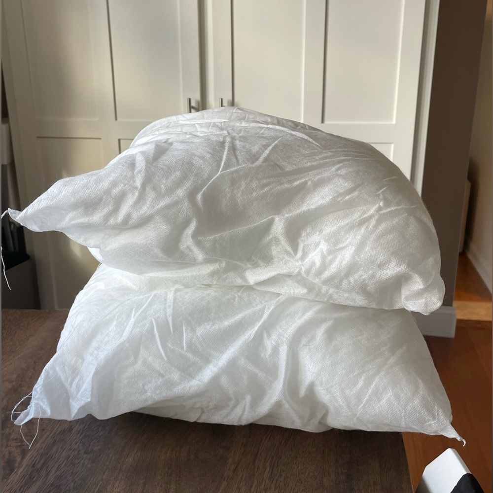 Two Restoration Hardware Pillow Inserts